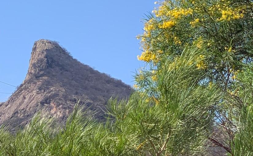 ¡Bienvenidos Tlaxcuapanecos!